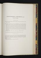 Monograph of the Odontophorinae, 1:214