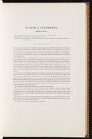 Birds of Australia, 1:90