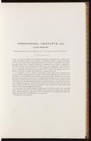 Birds of Australia, 1:74