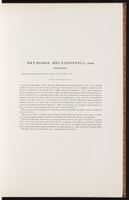 Birds of Australia, 1:46