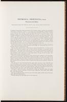 Birds of Australia, 1:30