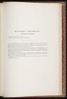 Birds of Australia, 1:390