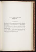 Birds of Australia, 1:346