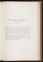 Birds of Australia, 1:294