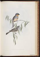 Gilbert's Whistler plate 71