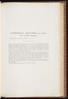 Birds of Australia, 1:254