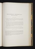 Monograph of the Odontophorinae, 1:178