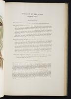 Monograph of the Trogonidae, 2:76