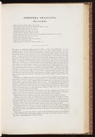 Birds of Australia, 1:174