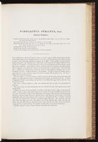 Birds of Australia, 1:158