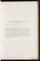 Birds of Australia, 1:126