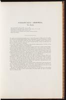 Birds of Australia, 1:62