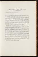 Birds of Australia, 1:42