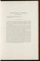 Birds of Australia, 1:38