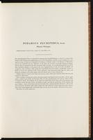 Birds of Australia, 1:30