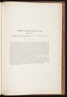 Birds of Australia, 1:258