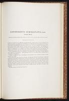 Birds of Australia, 1:234