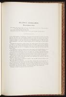 Birds of Australia, 1:226