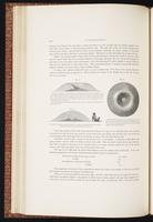 Birds of Australia, 1:95