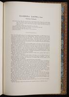 Birds of Asia, 1:264