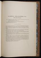 Birds of Asia, 1:260