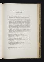 Monograph of the Odontophorinae, 1:124