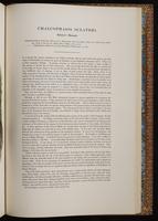 Birds of Asia, 1:228