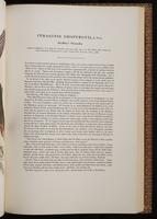 Birds of Asia, 1:176