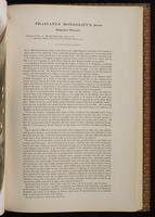 Birds of Asia, 1:172