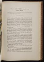 Birds of Asia, 1:168