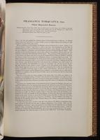 Birds of Asia, 1:164