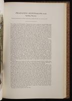 Birds of Asia, 1:160