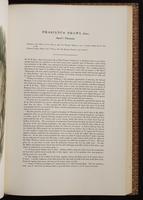 Birds of Asia, 1:148