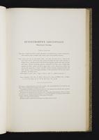Monograph of the Odontophorinae, 1:106