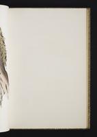 Monograph of the Odontophorinae, 1:98