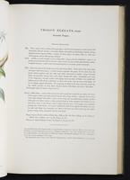 Monograph of the Trogonidae, 2:68
