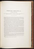 Birds of Asia, 1:260