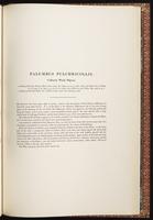 Birds of Asia, 1:240