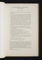 Monograph of the Odontophorinae, 1:82