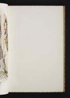 Monograph of the Odontophorinae, 1:80