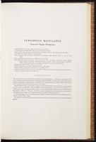 Birds of Asia, 1:128