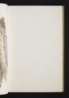 Monograph of the Odontophorinae, 1:68