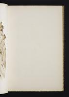 Monograph of the Odontophorinae, 1:62