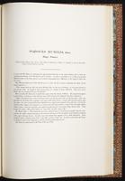 Birds of Asia, 1:260