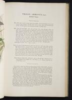 Monograph of the Trogonidae, 2:64