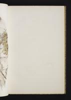 Monograph of the Odontophorinae, 1:56