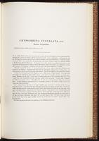 Birds of Asia, 1:216