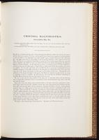 Birds of Asia, 1:204