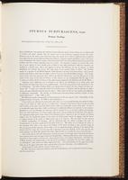 Birds of Asia, 1:184