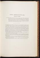 Birds of Asia, 1:172